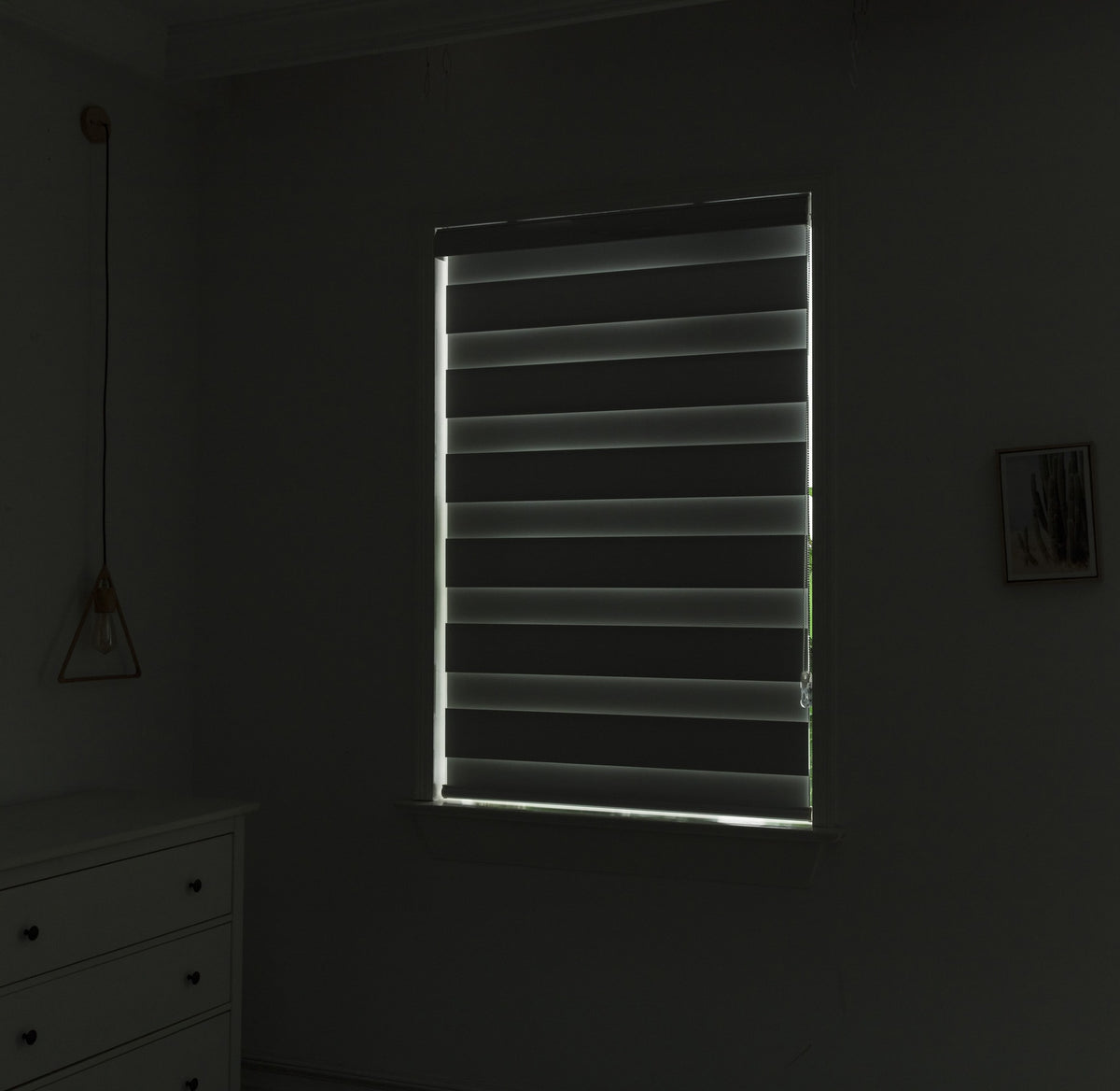 ZG-001 Blackout Zebra Blind Dual Shade – Sierra Blinds